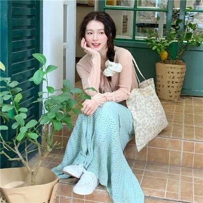 黑狐：希特勒